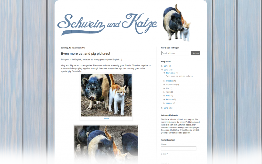 katze-und-schwein-blogspot-2