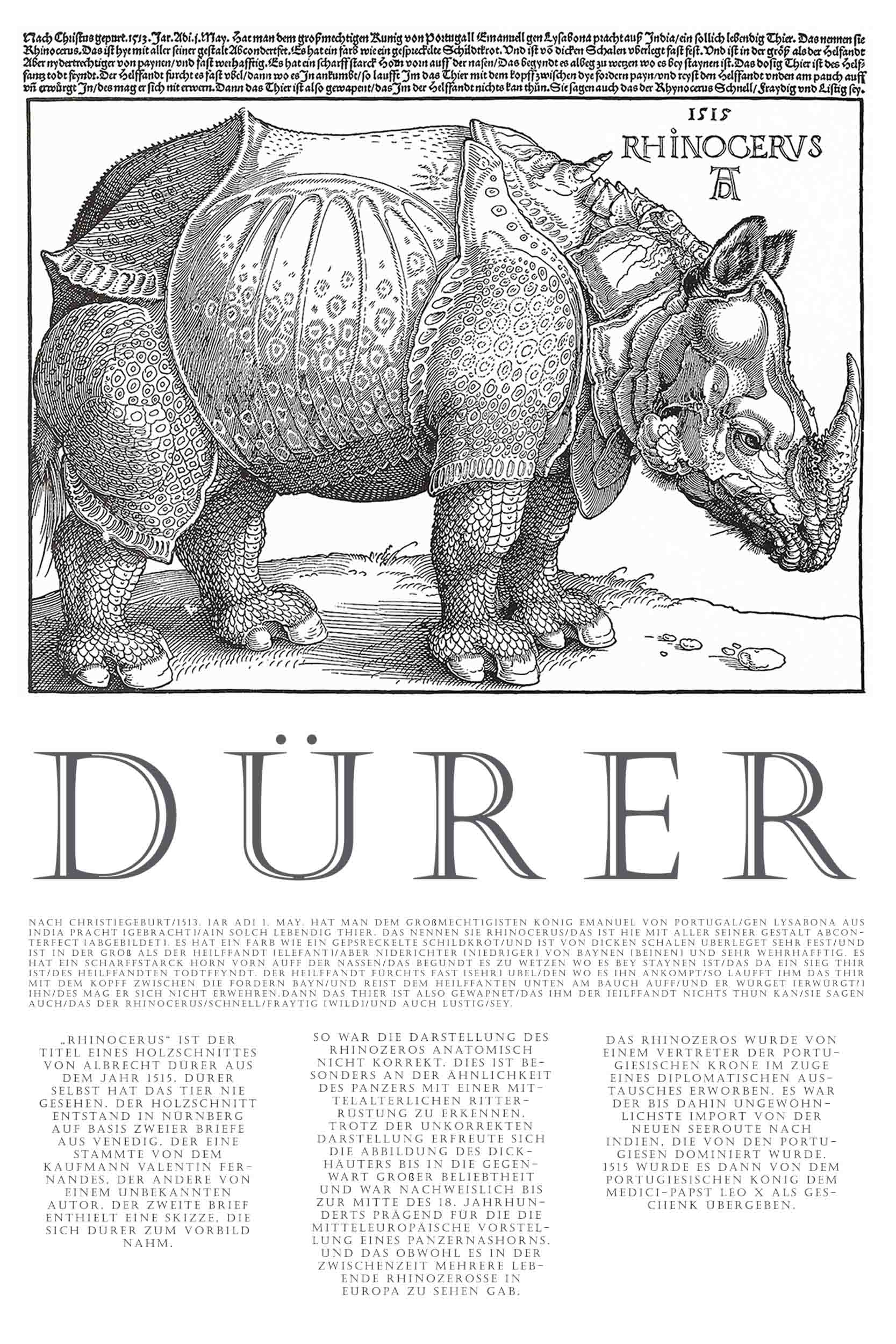 Duerer-Rhinozeros-1